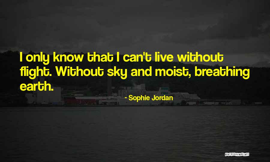 January Ending Quotes By Sophie Jordan January Ending Quotes By Sophie Jordan