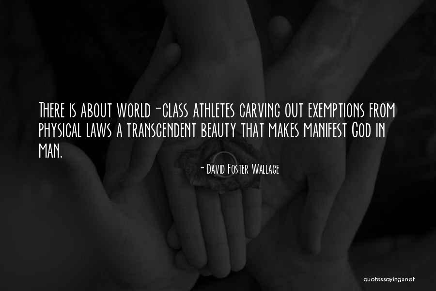 Januschka Farm Quotes By David Foster Wallace Januschka Farm Quotes By David Foster Wallace