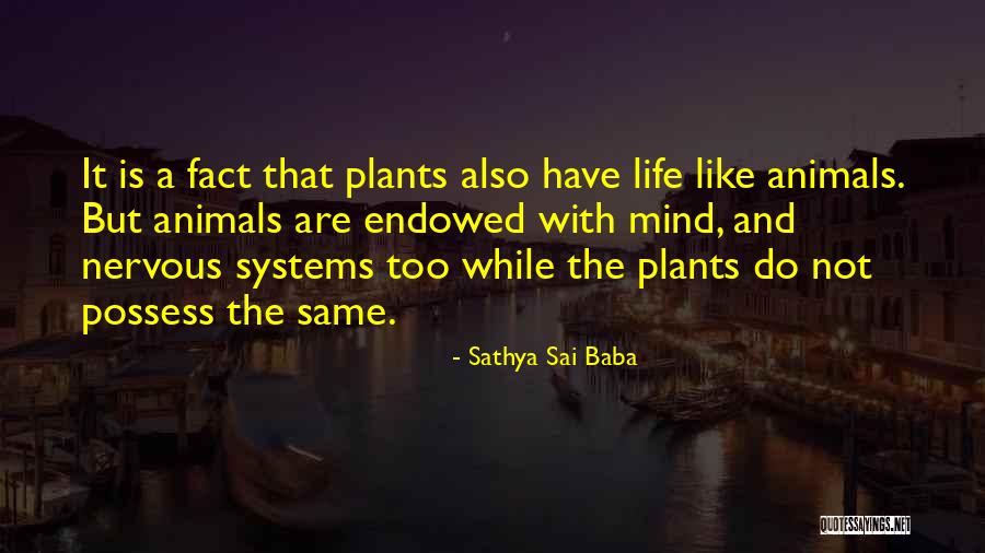 Jao Quotes By Sathya Sai Baba Jao Quotes By Sathya Sai Baba