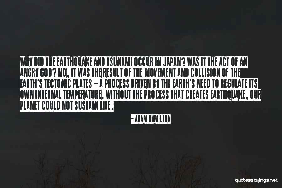 Japan Earthquake And Tsunami Quotes By Adam Hamilton