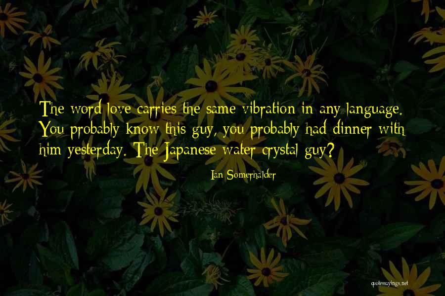 Japanese Dinner Quotes By Ian Somerhalder Japanese Dinner Quotes By Ian Somerhalder
