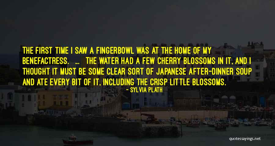 Japanese Dinner Quotes By Sylvia Plath Japanese Dinner Quotes By Sylvia Plath