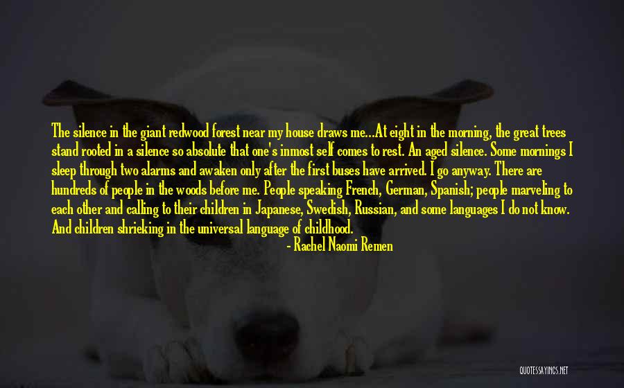 Japanese Morning Quotes By Rachel Naomi Remen Japanese Morning Quotes By Rachel Naomi Remen