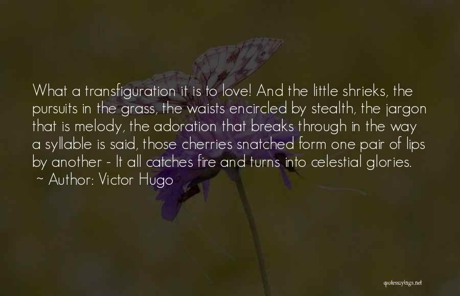 Jargon Love Quotes By Victor Hugo