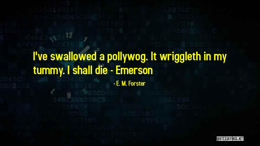 Jarjuras Weekly Flyer Quotes By E. M. Forster Jarjuras Weekly Flyer Quotes By E. M. Forster