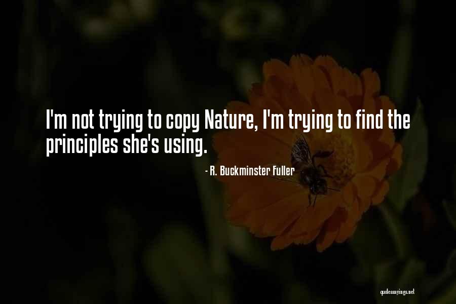 Jaromil Jire Quotes By R. Buckminster Fuller Jaromil Jire Quotes By R. Buckminster Fuller
