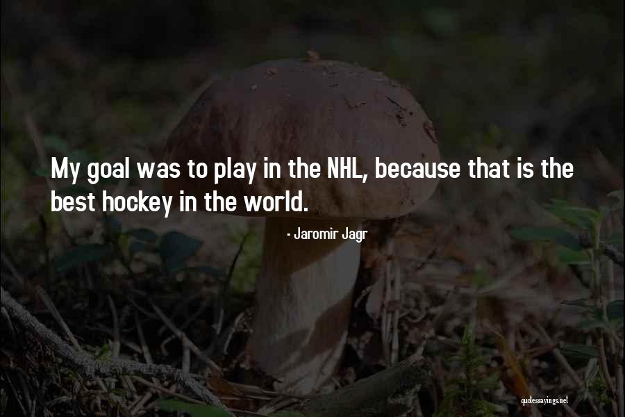 Jaromir Jagr Quotes 797272