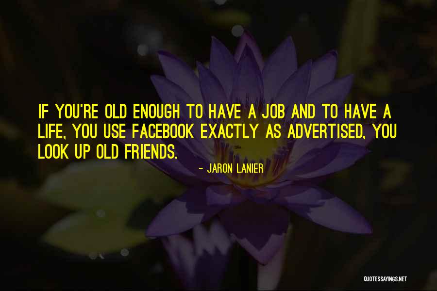 Jaron Lanier Quotes 1580430