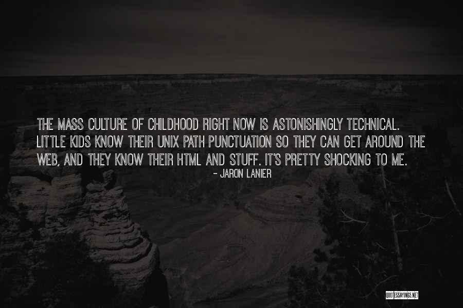 Jaron Lanier Quotes 334475