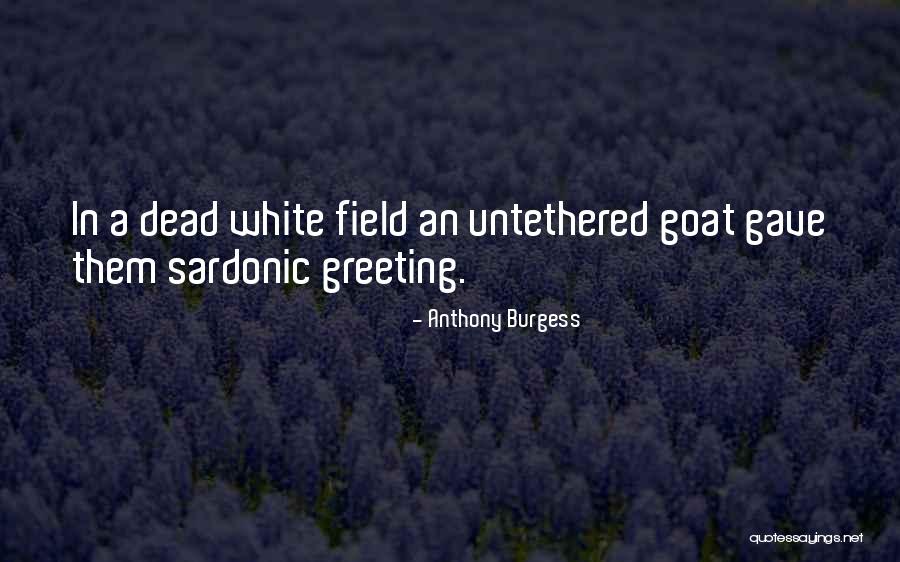 Jaroslaw Niezgoda Quotes By Anthony Burgess Jaroslaw Niezgoda Quotes By Anthony Burgess