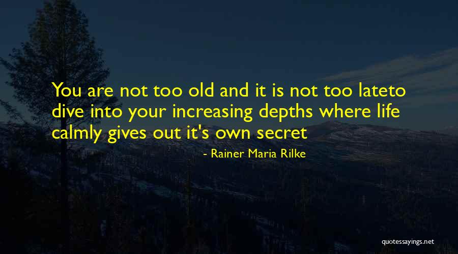 Jarras De Vidrio Quotes By Rainer Maria Rilke Jarras De Vidrio Quotes By Rainer Maria Rilke
