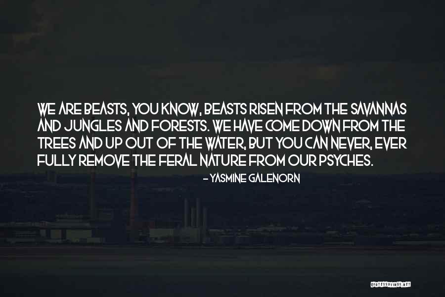 Jarrod Ramos Quotes By Yasmine Galenorn Jarrod Ramos Quotes By Yasmine Galenorn