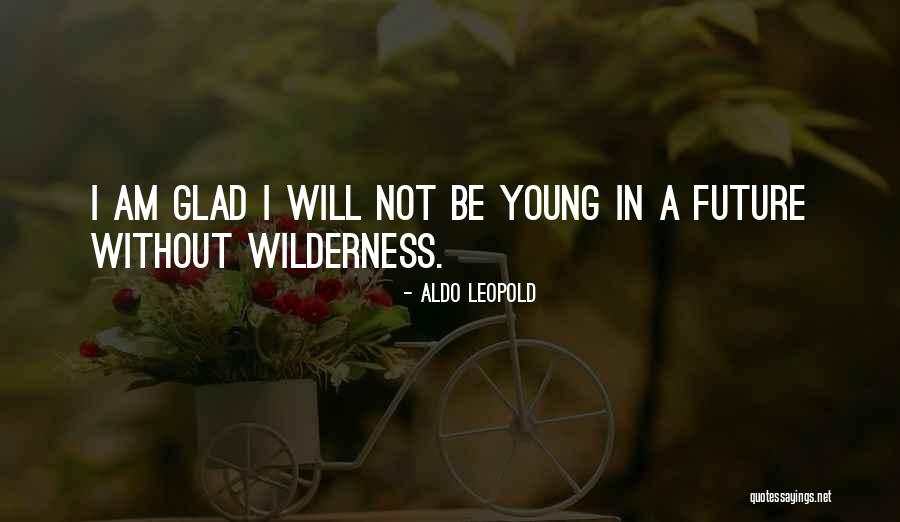 Jasaitis Marblehead Quotes By Aldo Leopold