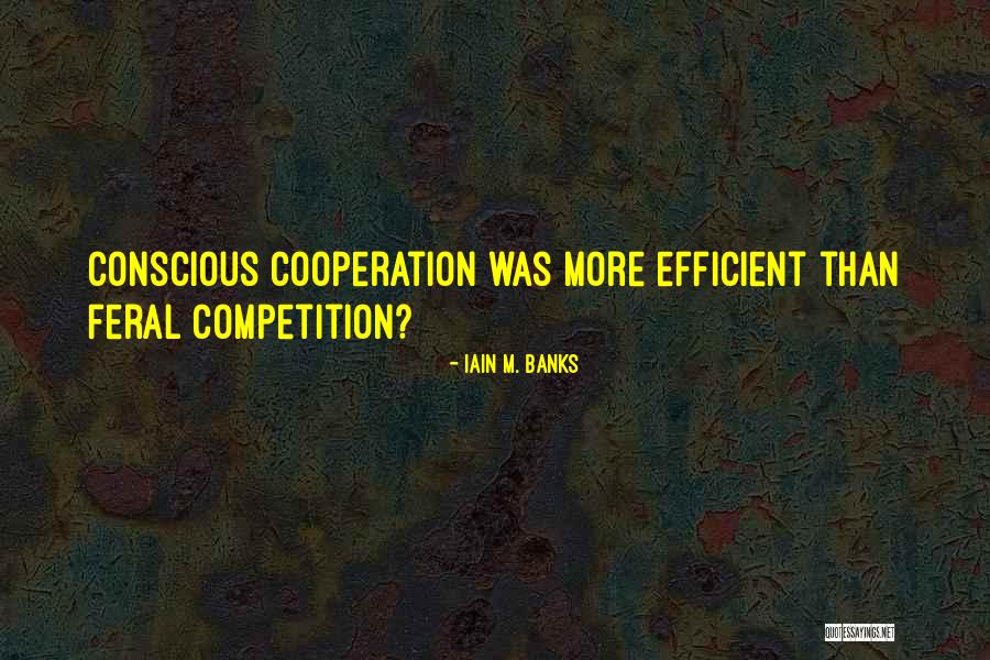 Jasey Capital Group Quotes By Iain M. Banks Jasey Capital Group Quotes By Iain M. Banks