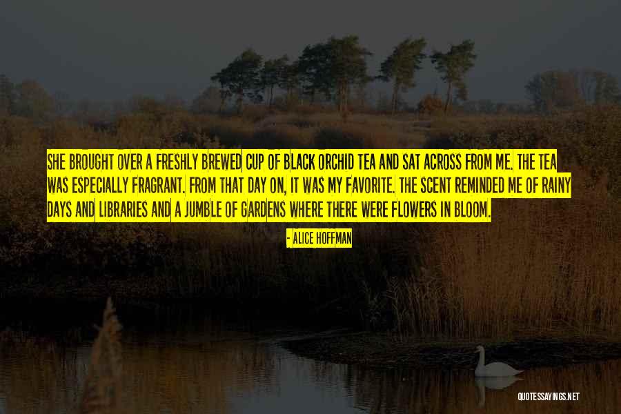 Jashanmal Books Quotes By Alice Hoffman Jashanmal Books Quotes By Alice Hoffman