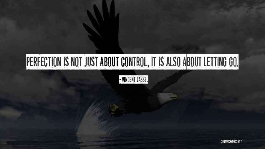Jasiewicz Nieruchomosci Quotes By Vincent Cassel