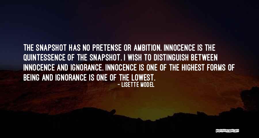 Jasmines Pet Quotes By Lisette Model