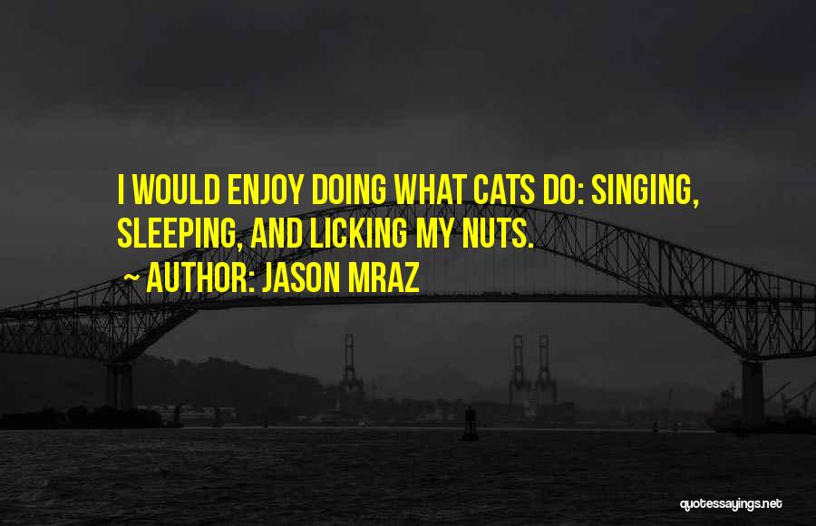 Jason Mraz Quotes 222371