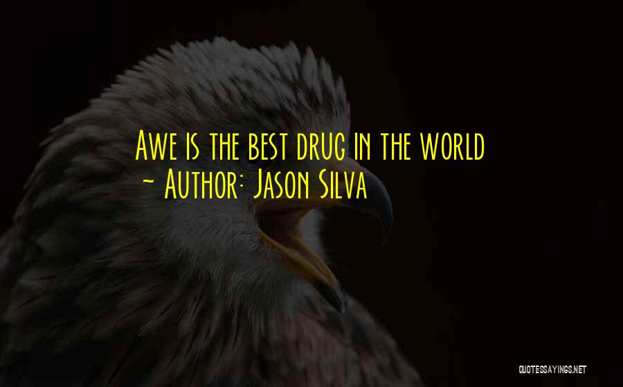 Jason Silva Awe Quotes By Jason Silva