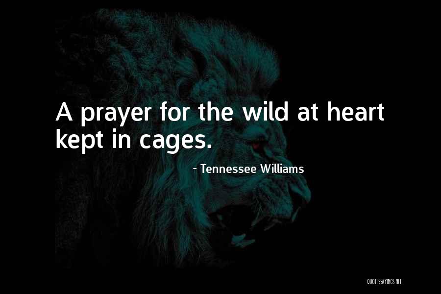 Jauernig Czechoslovakia Quotes By Tennessee Williams Jauernig Czechoslovakia Quotes By Tennessee Williams