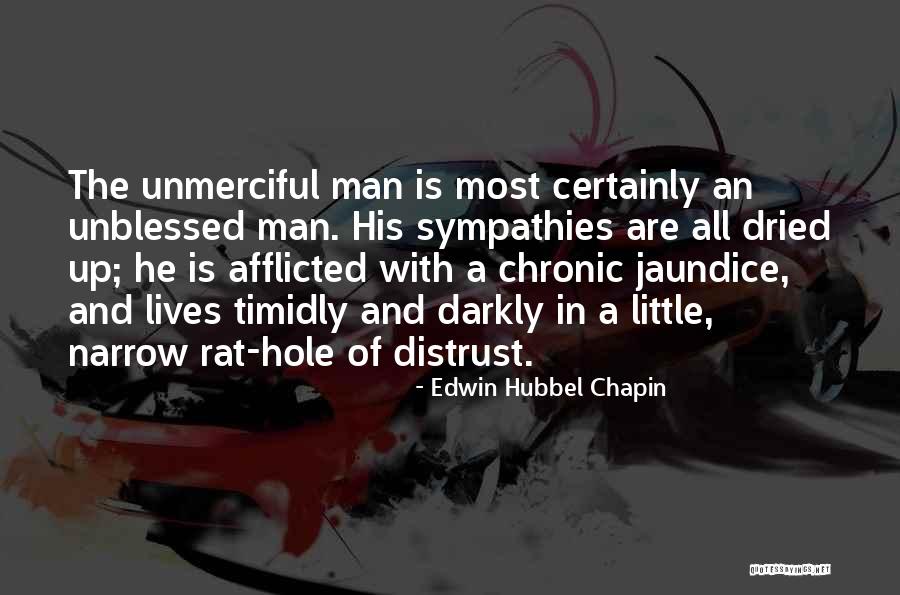 Jaundice Quotes By Edwin Hubbel Chapin