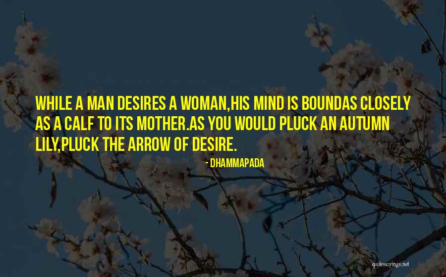 Java Codes Quotes By Dhammapada Java Codes Quotes By Dhammapada