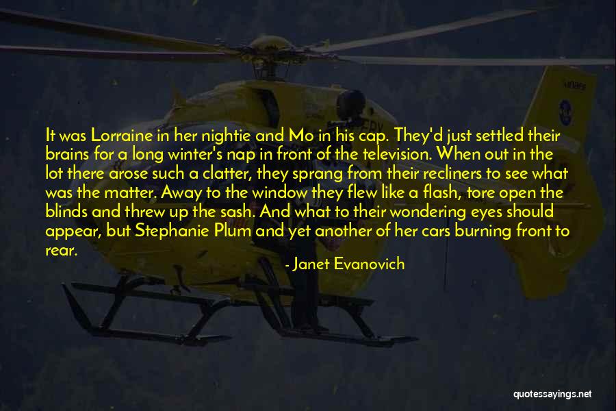 Java Delimiter Quotes By Janet Evanovich Java Delimiter Quotes By Janet Evanovich