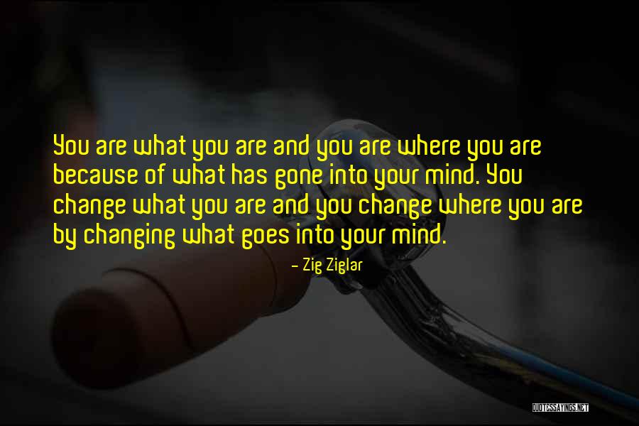 Java Execute Command Quotes By Zig Ziglar Java Execute Command Quotes By Zig Ziglar