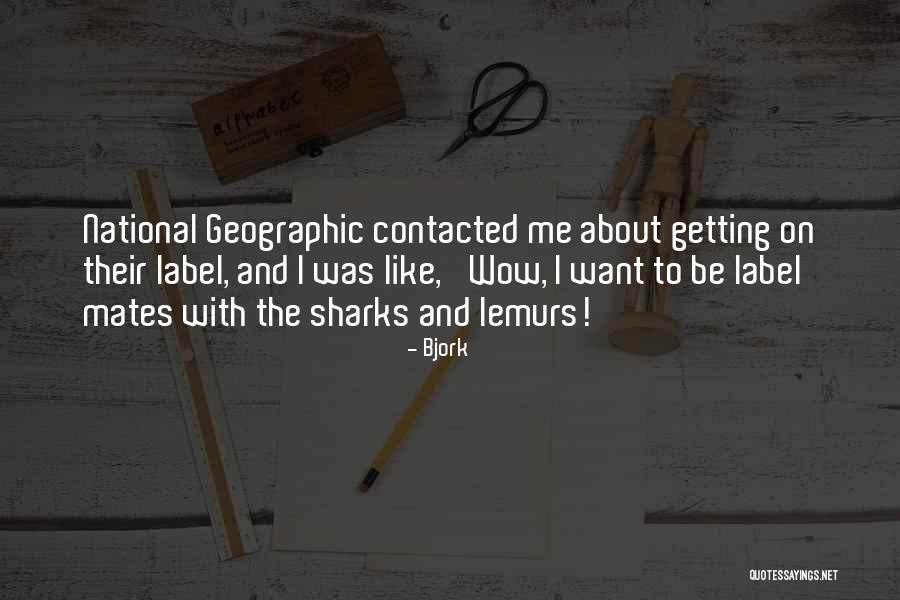 Java Parse String Quotes By Bjork Java Parse String Quotes By Bjork
