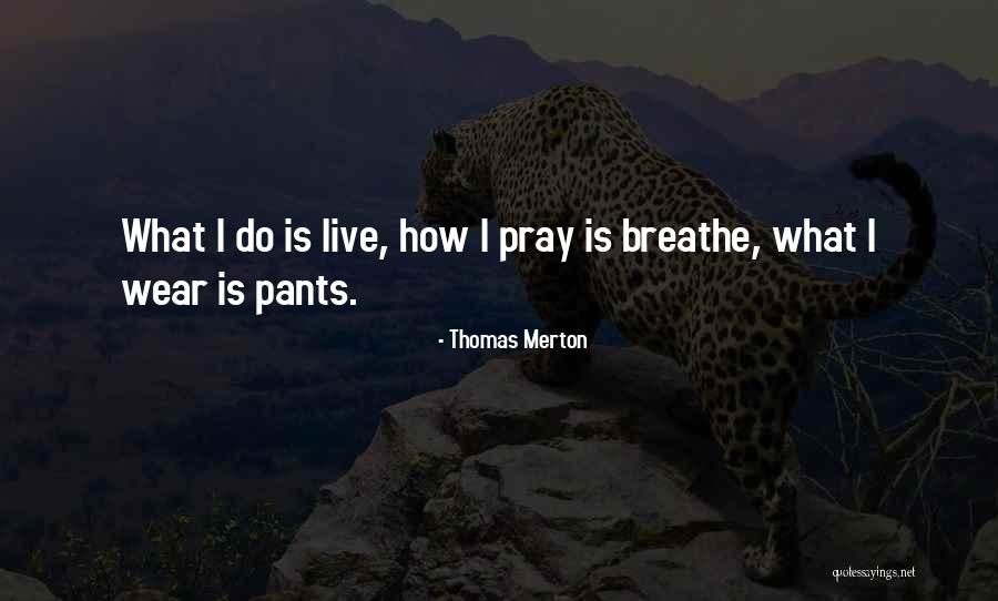 Java Pattern Quotes By Thomas Merton Java Pattern Quotes By Thomas Merton