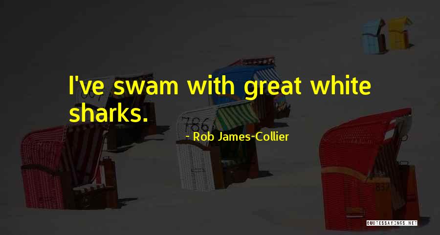 Java Prepared Statement String Without Quotes By Rob James-Collier Java Prepared Statement String Without Quotes By Rob James-Collier