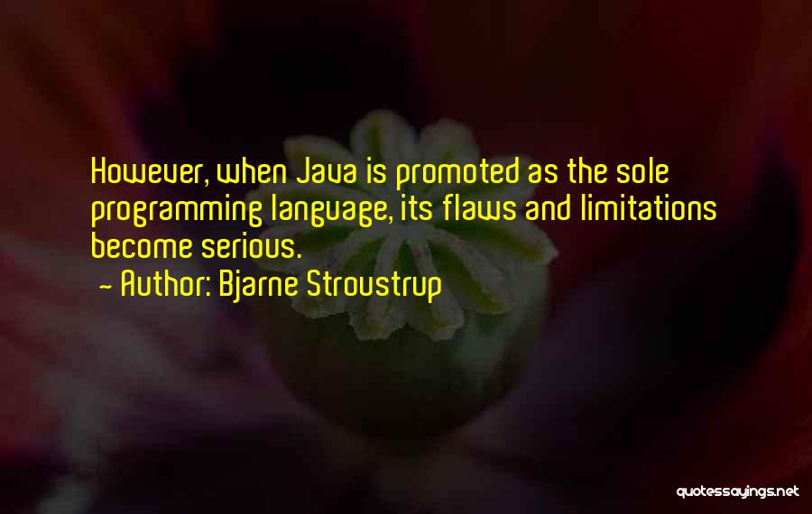 Java Programming Quotes By Bjarne Stroustrup