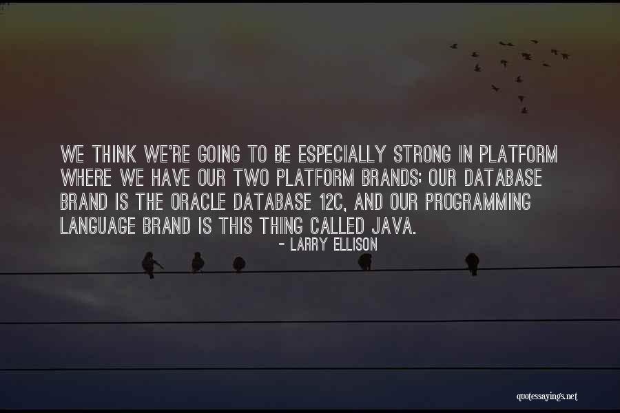 Java Programming Quotes By Larry Ellison Java Programming Quotes By Larry Ellison