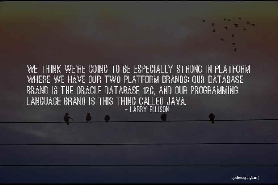 Java Programming Quotes By Larry Ellison