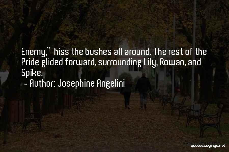 Java Stringbuilder Escape Quotes By Josephine Angelini