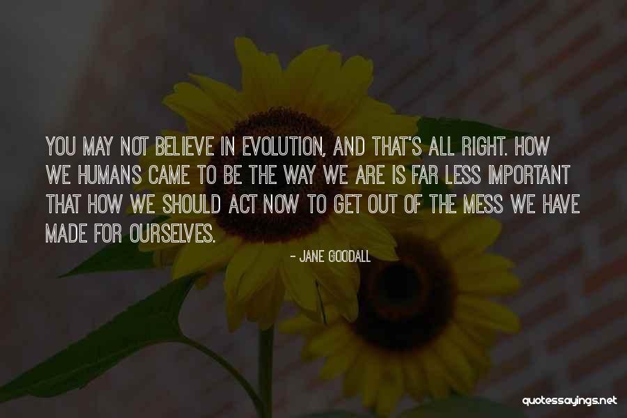 Javascript Array Double Quotes By Jane Goodall Javascript Array Double Quotes By Jane Goodall
