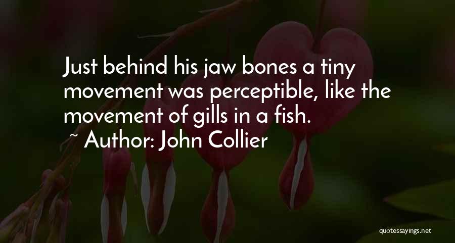 Jaw Bones Quotes By John Collier