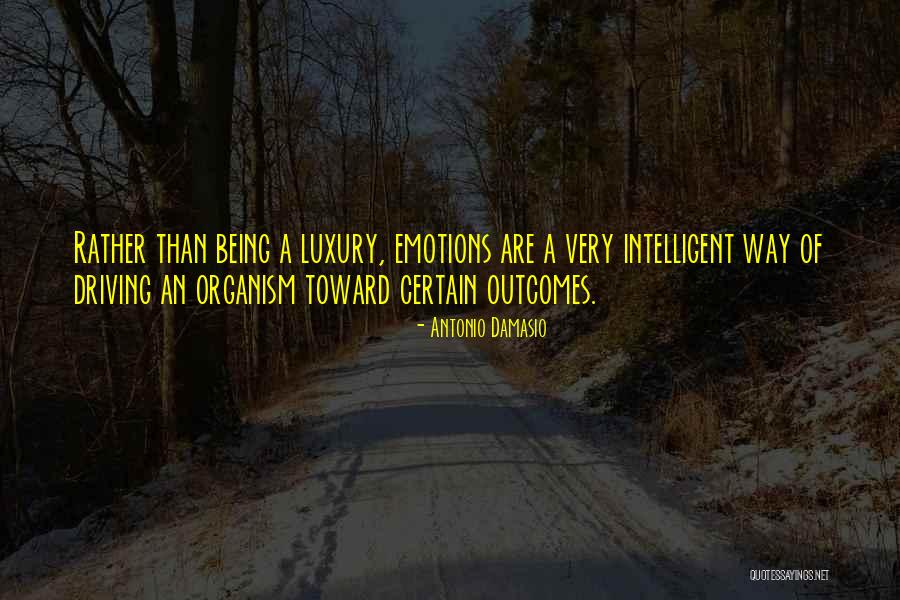 Jawed Youtube Quotes By Antonio Damasio Jawed Youtube Quotes By Antonio Damasio