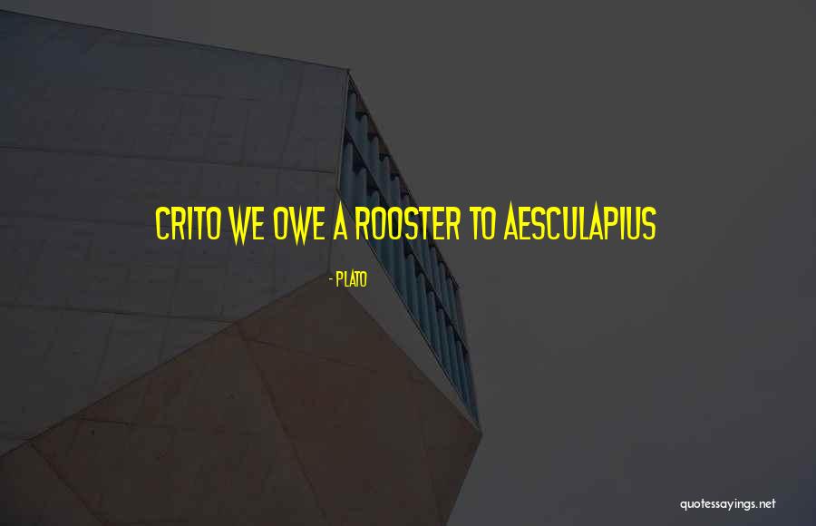Jawole Willa Quotes By Plato Jawole Willa Quotes By Plato