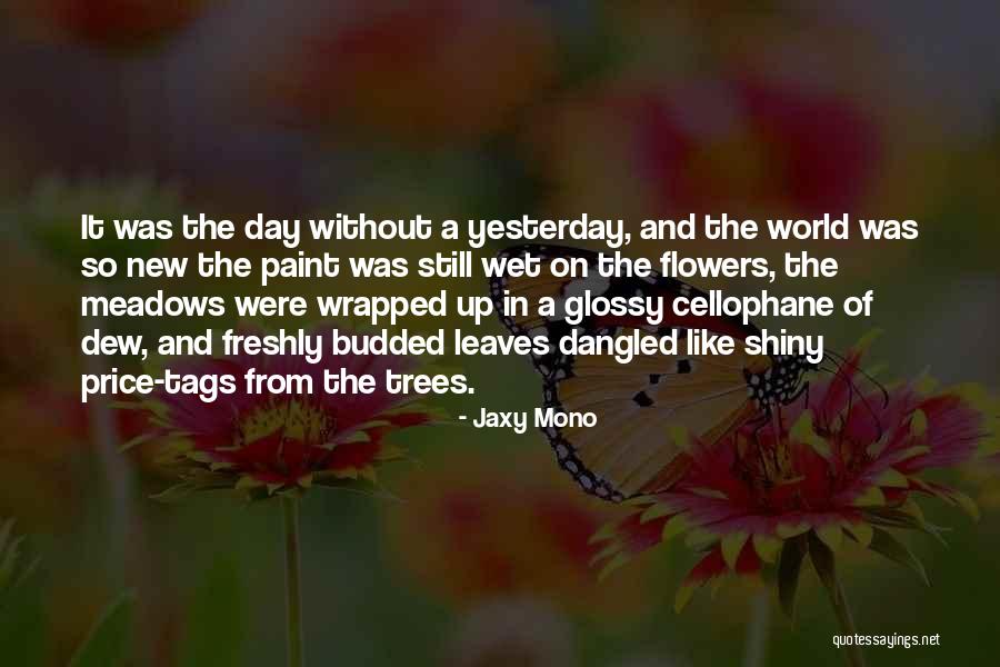 Jaxy Mono Quotes 1939547 Jaxy Mono Quotes 1939547