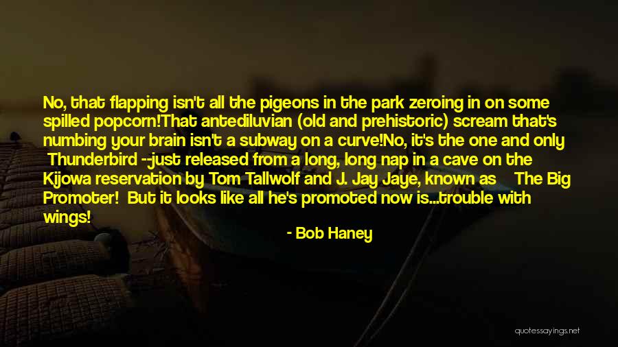 Jay Bob Quotes By Bob Haney