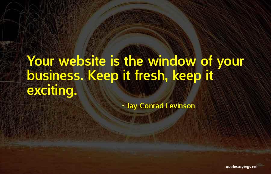 Jay Conrad Levinson Quotes 819913