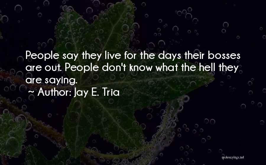 Jay E. Tria Quotes 2137734