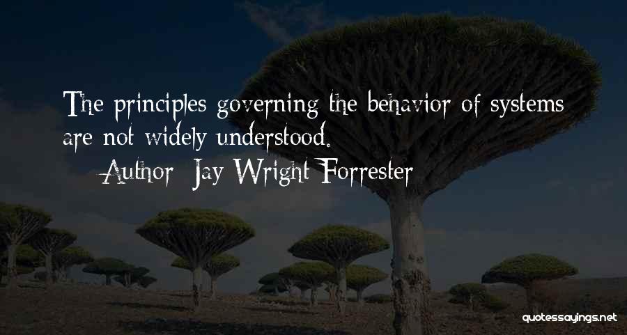 Jay Forrester Quotes By Jay Wright Forrester