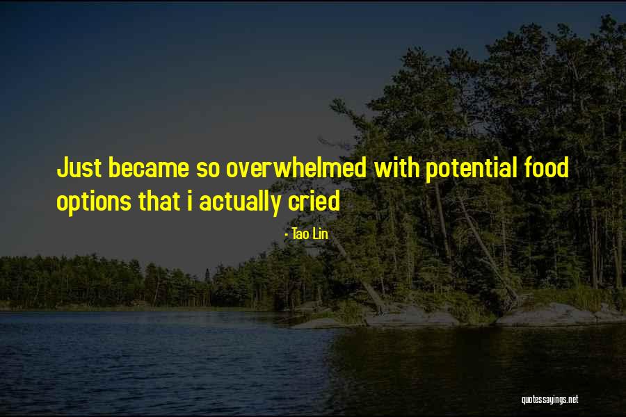 Jay Gatsby And The American Dream Quotes By Tao Lin