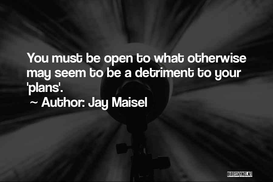Jay Maisel Quotes 1443306