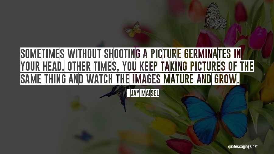 Jay Maisel Quotes 536530