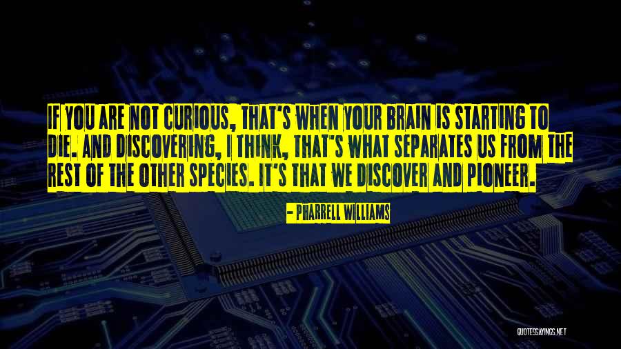 Jay Naidoo Quotes By Pharrell Williams Jay Naidoo Quotes By Pharrell Williams
