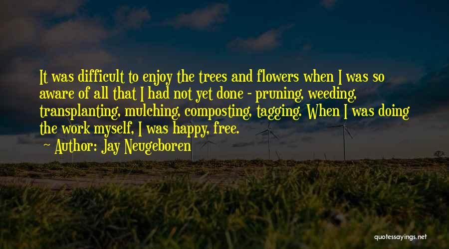 Jay Neugeboren Quotes 699025