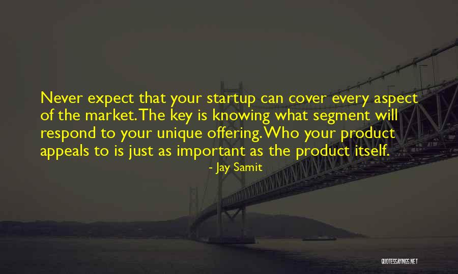 Jay Samit Quotes 1422460